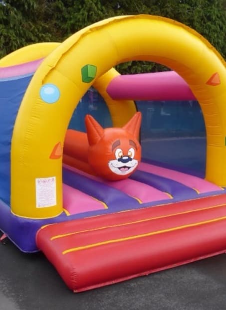 Chat sous arches